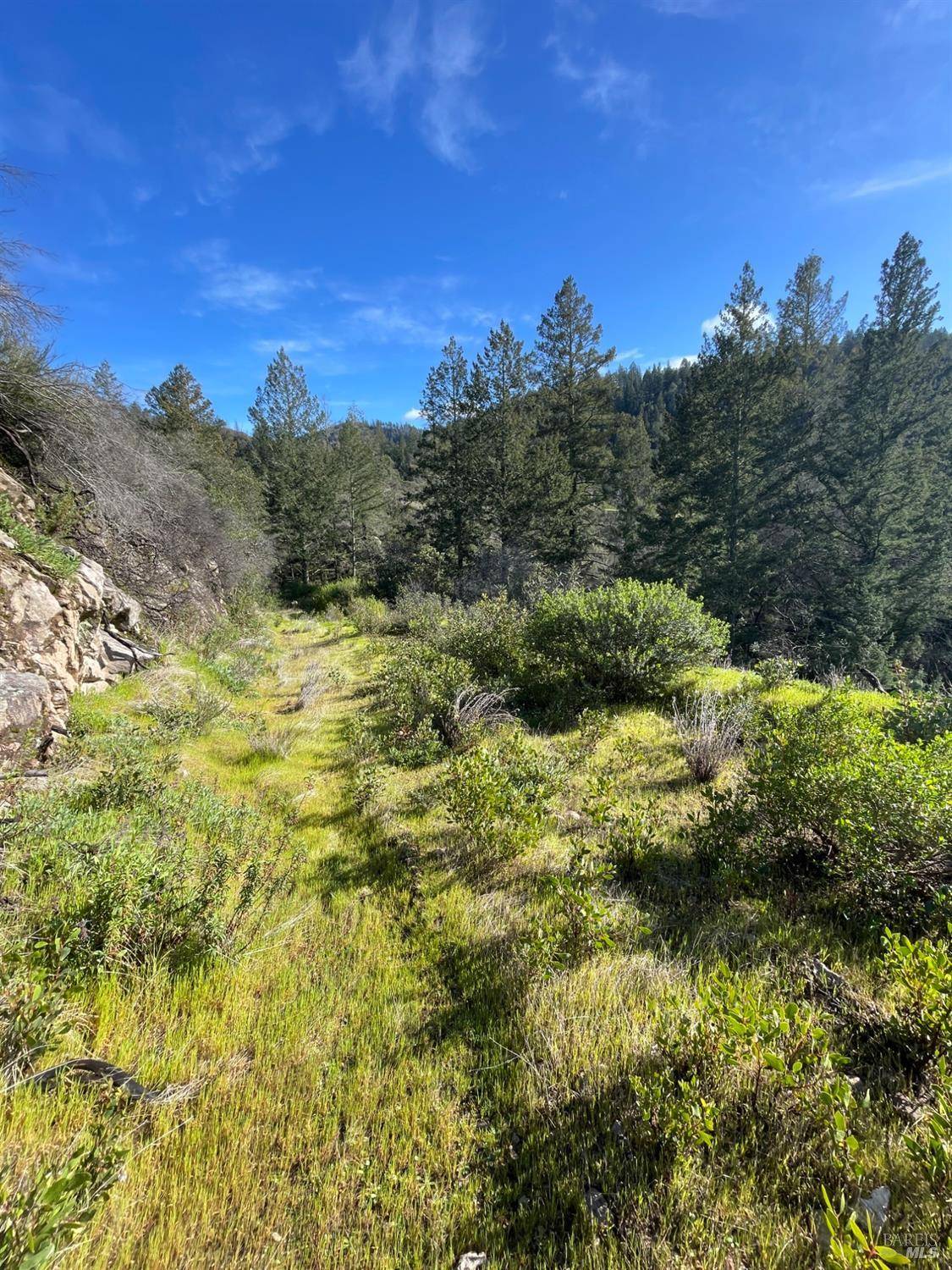 Calistoga, CA 94515,1635 Diamond Mountain RD