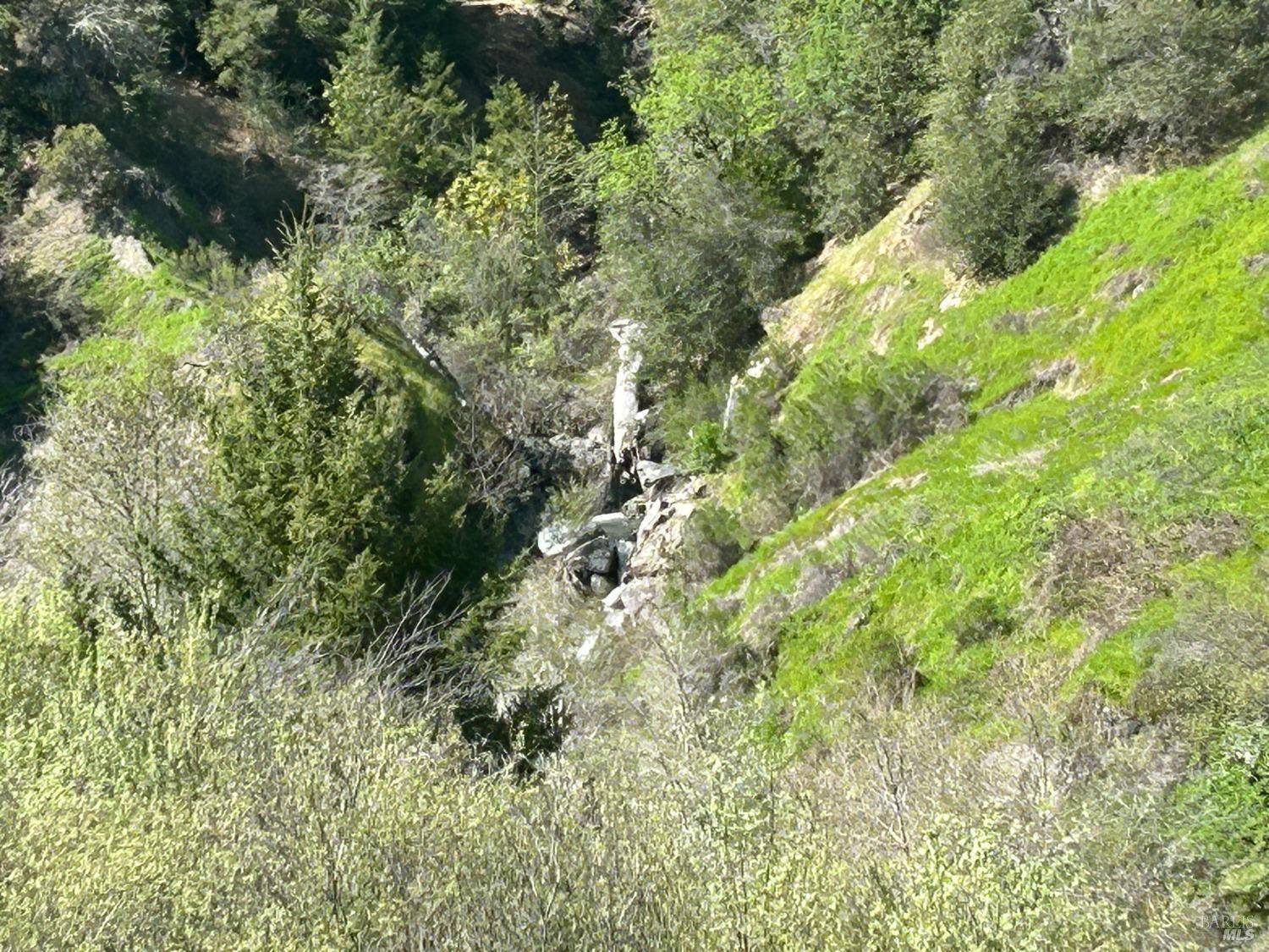 Laytonville, CA 95454,57451 Foster Creek RD