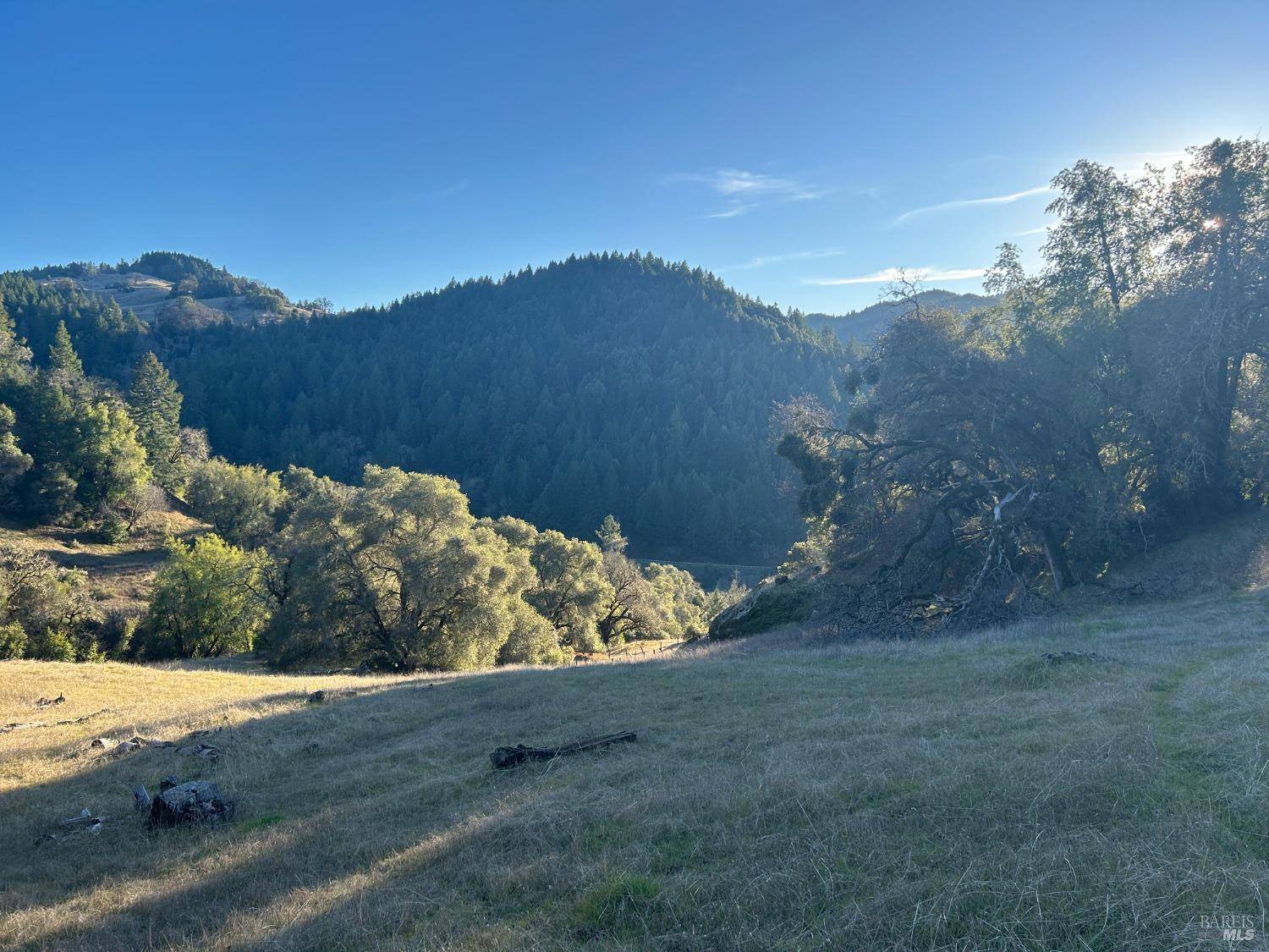 Laytonville, CA 95454,57451 Foster Creek RD