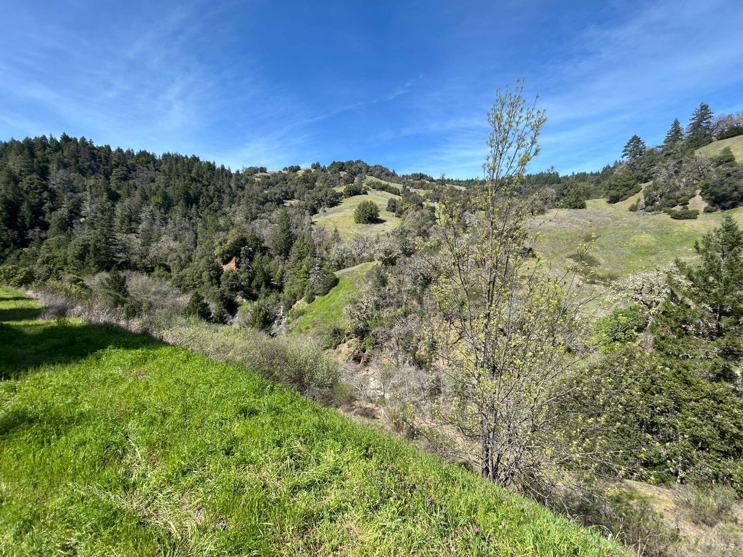 Laytonville, CA 95454,57451 Foster Creek RD