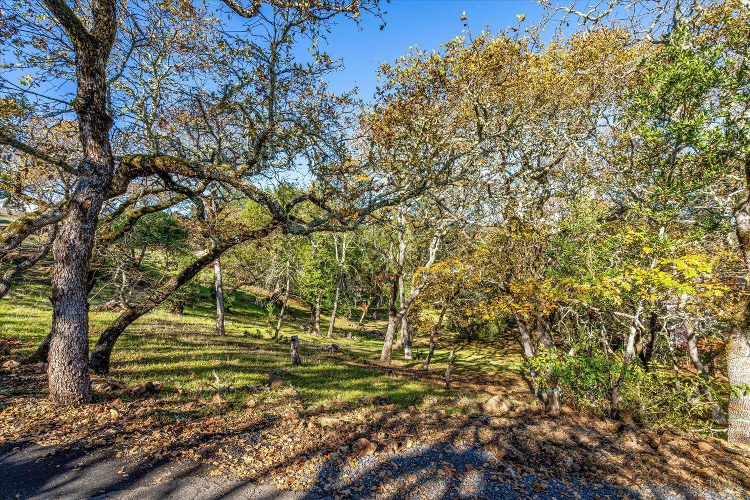 Kenwood, CA 95452,2869 Bristol RD