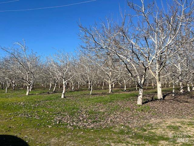 Winters, CA 95694,0 winters RD