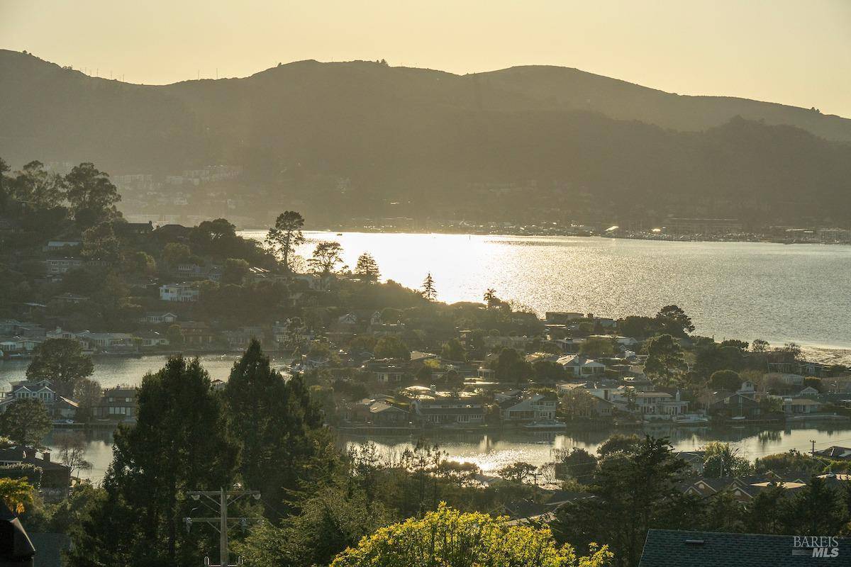 Tiburon, CA 94920,114 Marinero CIR