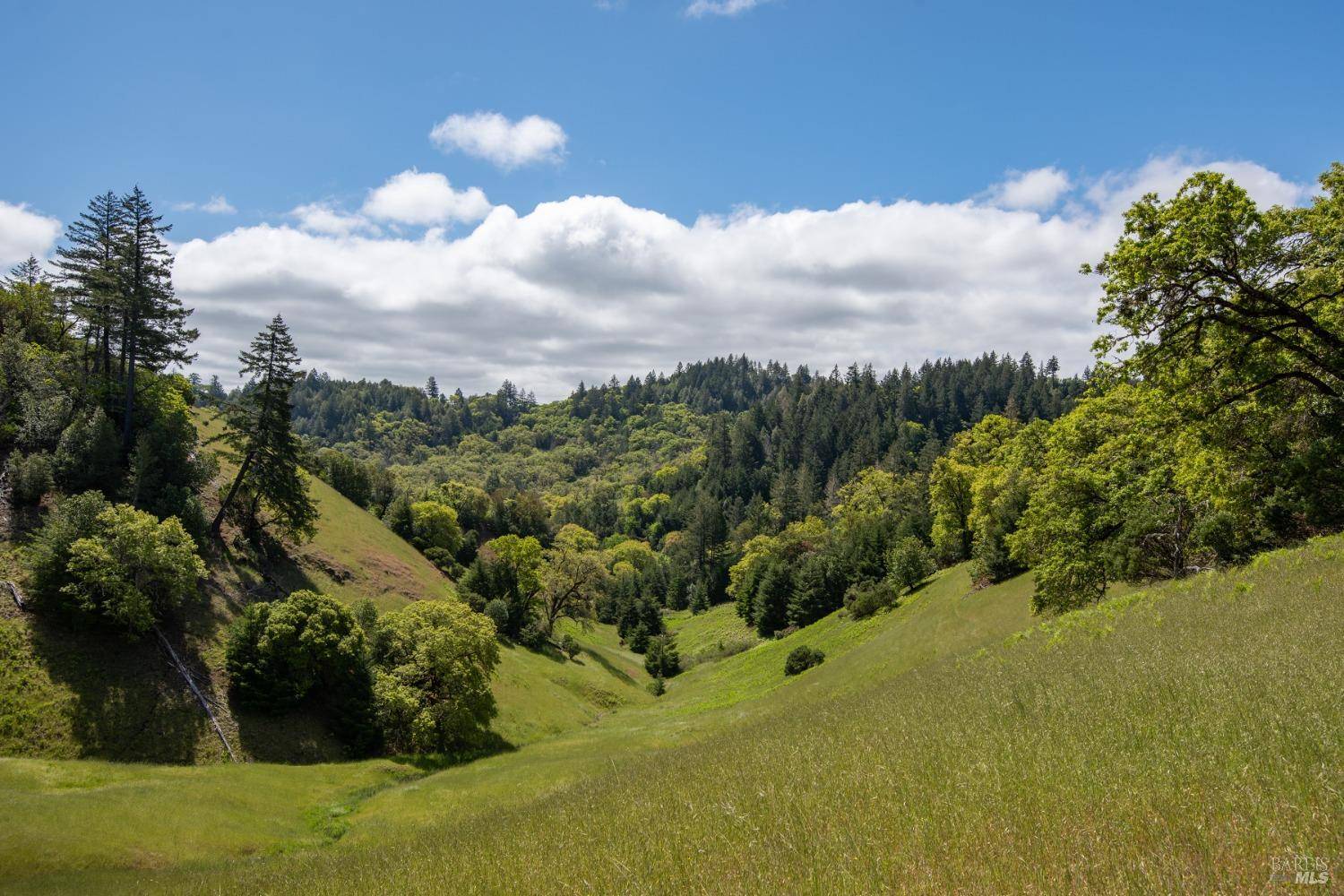Yorkville, CA 95494,30131 Elkhorn RD