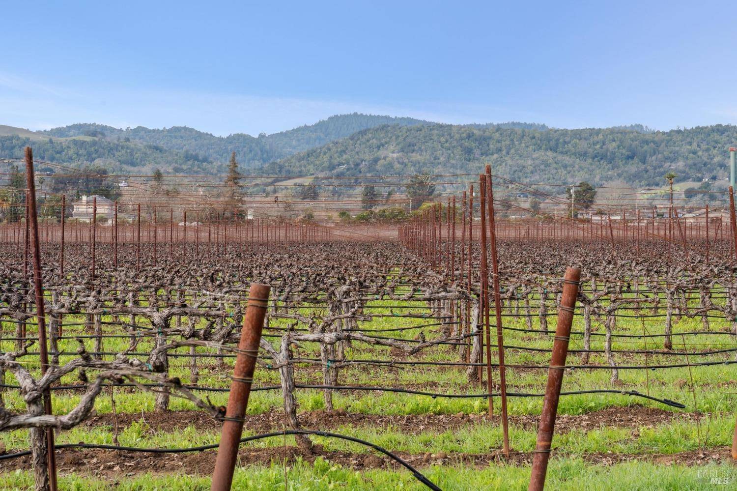 Napa, CA 94558,1076 Orchard AVE