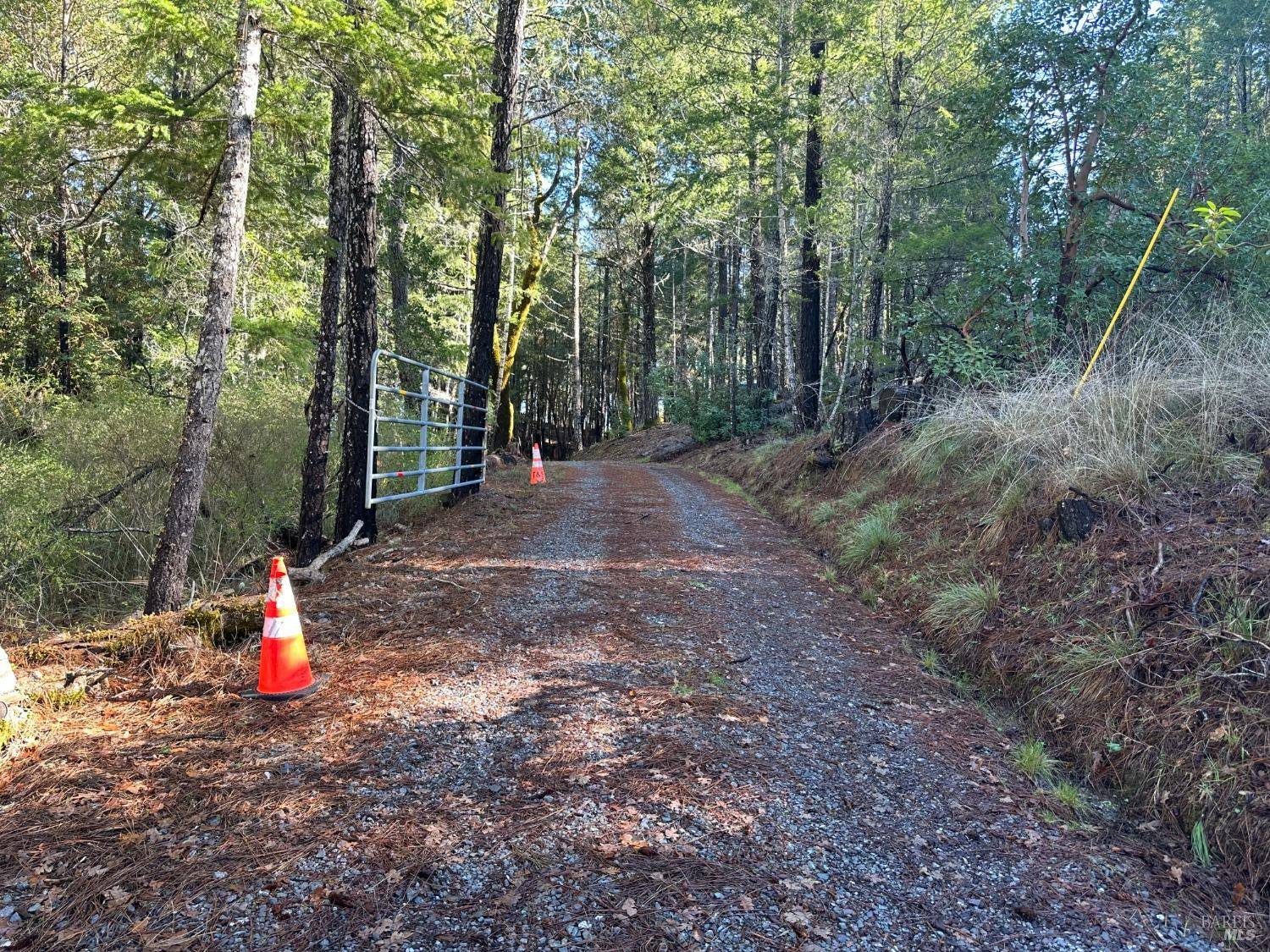 Laytonville, CA 95454,801 Steele LN