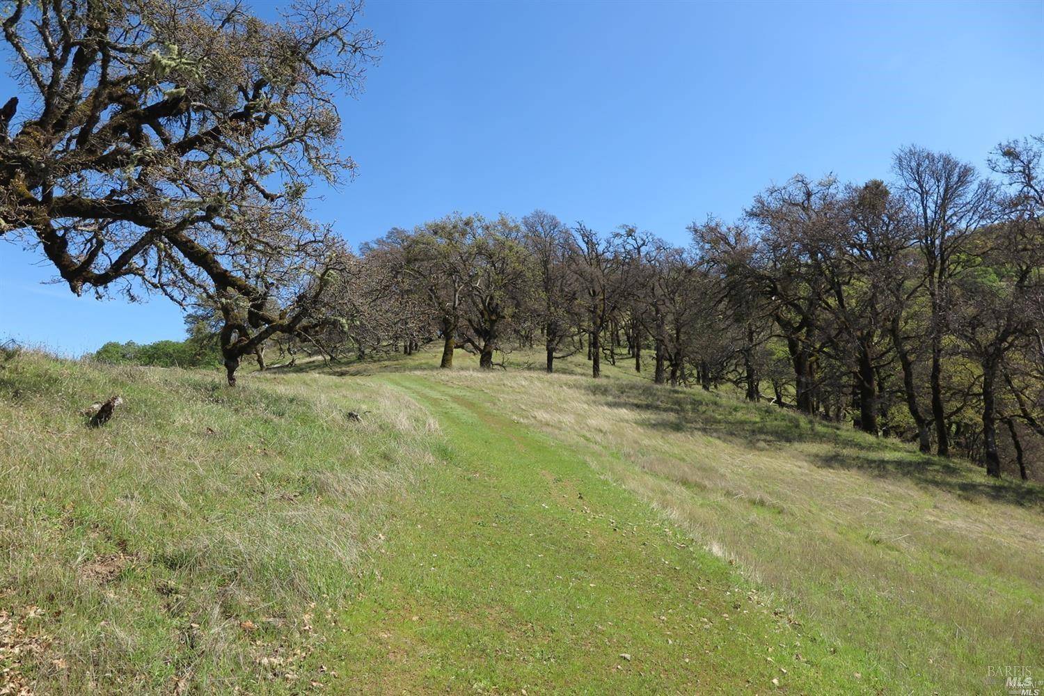 Hopland, CA 95449,12950 Eagle Rock RD