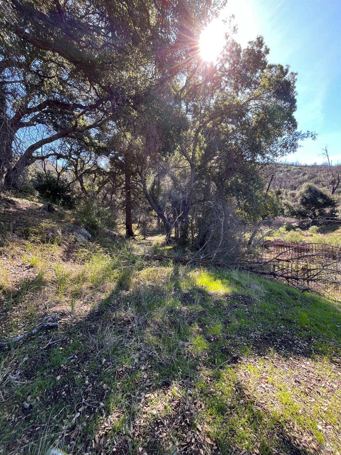 St. Helena, CA 94574,0 Sage Canyon RD
