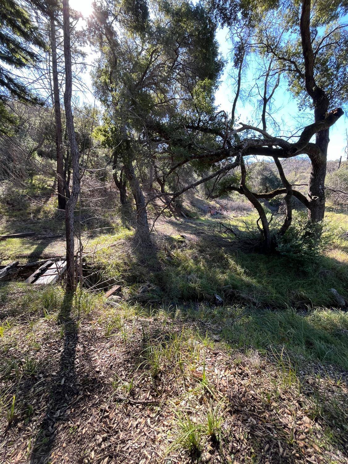 St. Helena, CA 94574,0 Sage Canyon RD