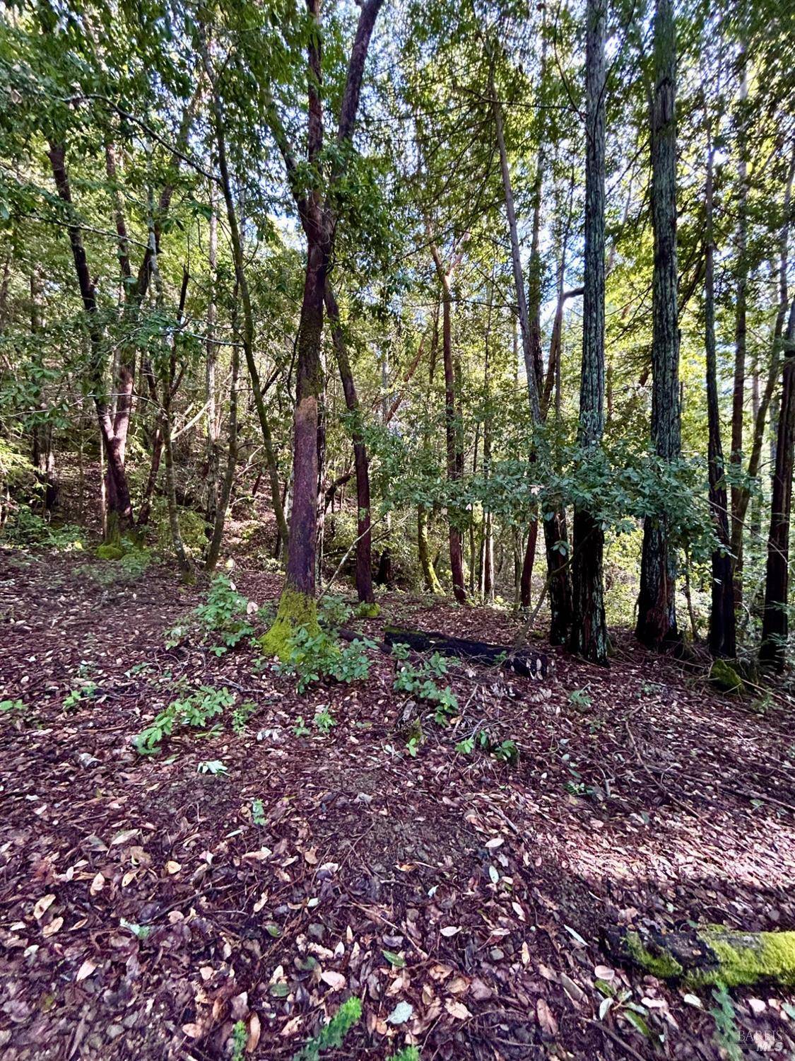 Guerneville, CA 95446,16167 Fern WAY