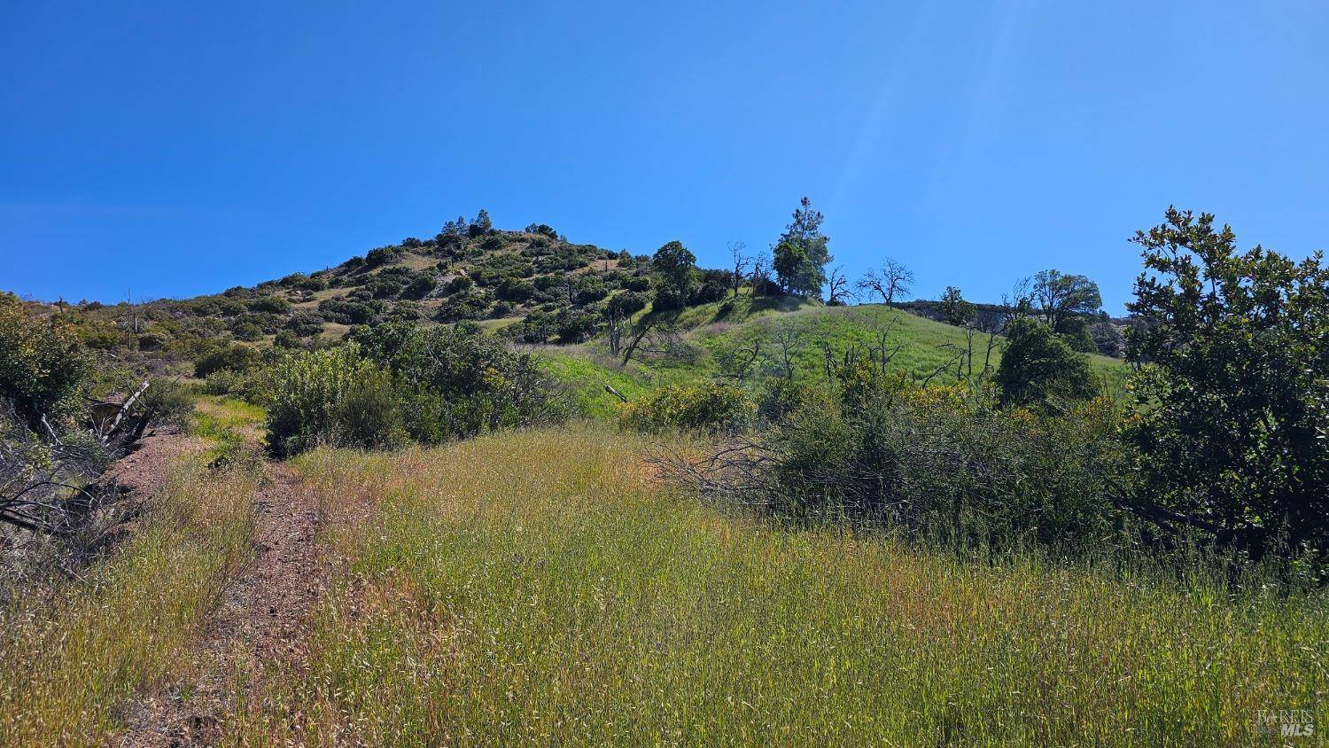 Clearlake Oaks, CA 95423,25156 E State Hwy 20