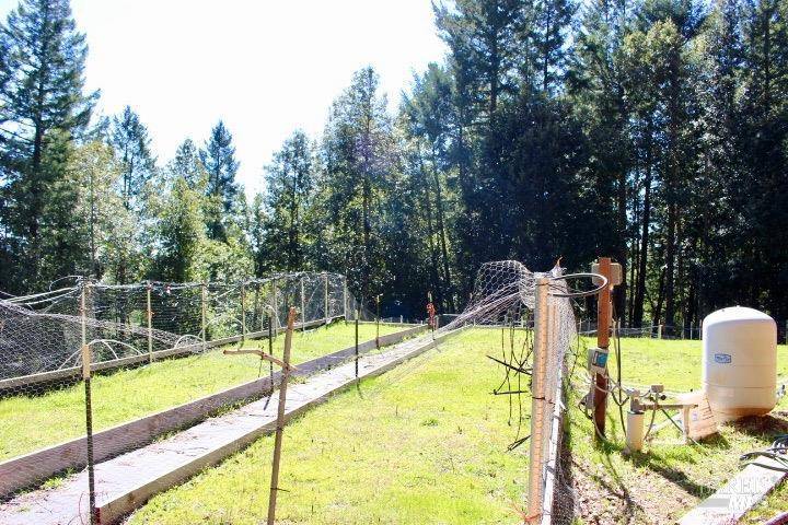 Willits, CA 95490,4160 Blackhawk DR