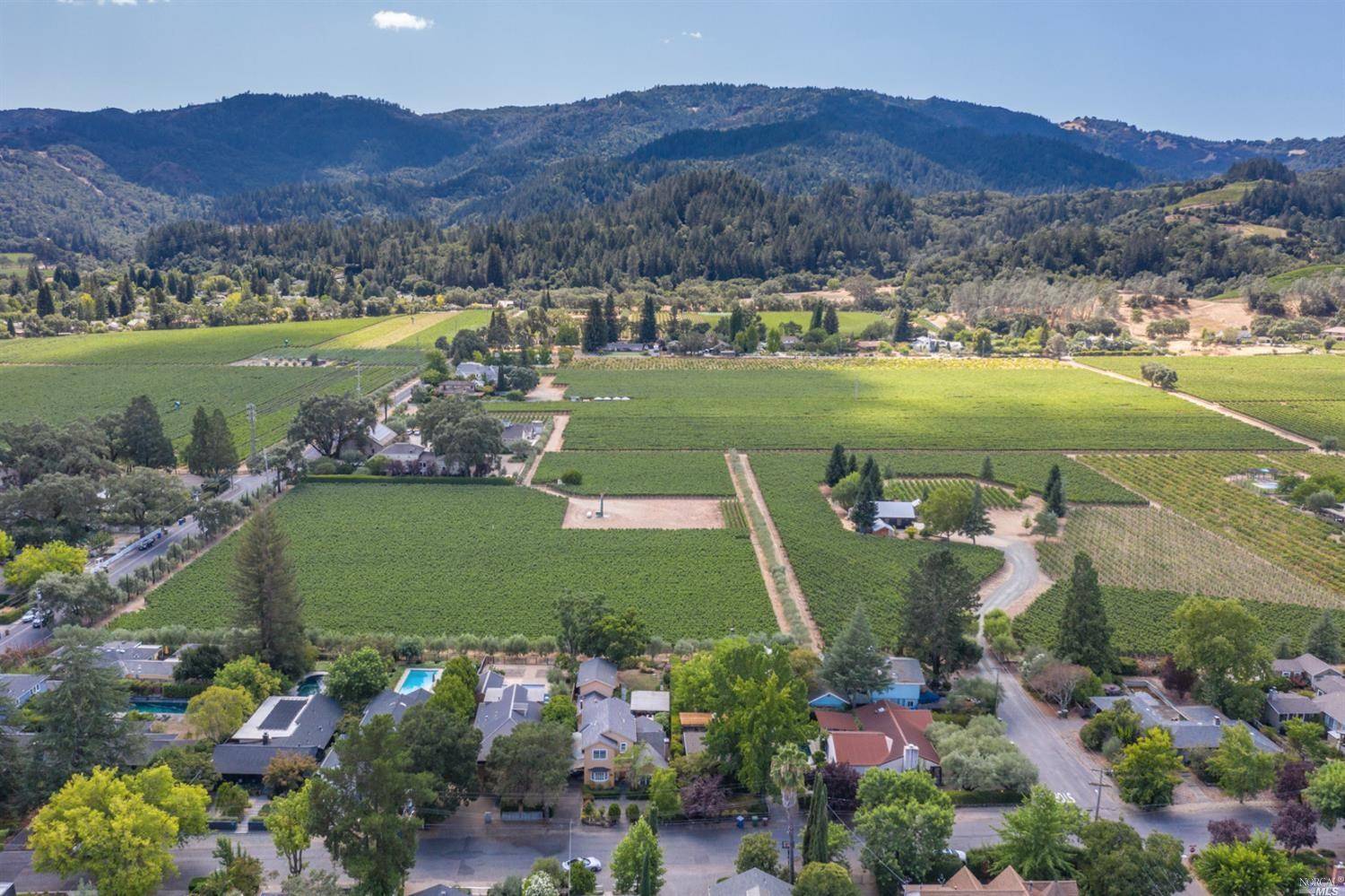St. Helena, CA 94574,1655 Scott ST