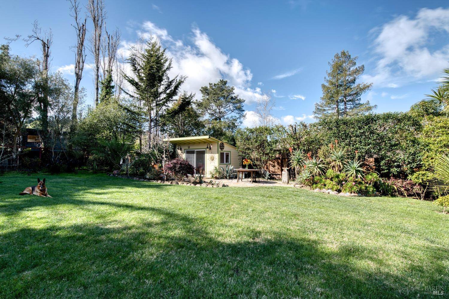 Mill Valley, CA 94941,29 Shell RD