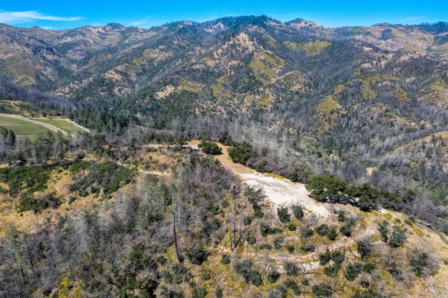 Calistoga, CA 94515,370 Dutch Henry Canyon RD