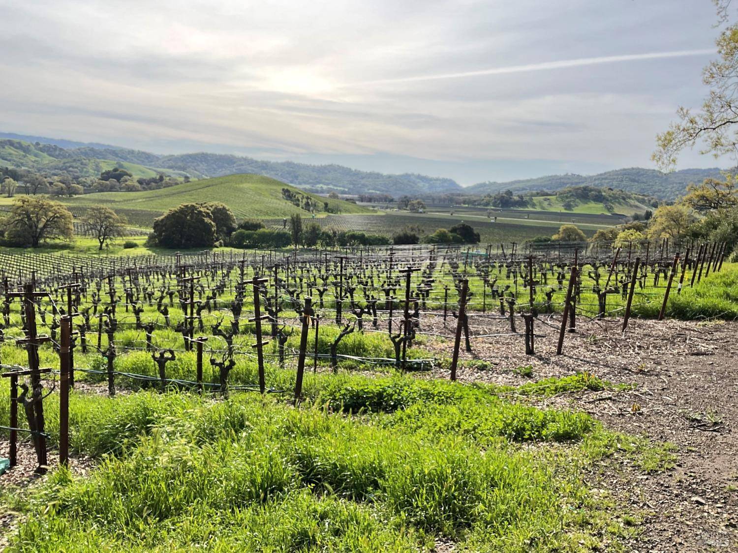Napa, CA 94558,4060 Monticello RD