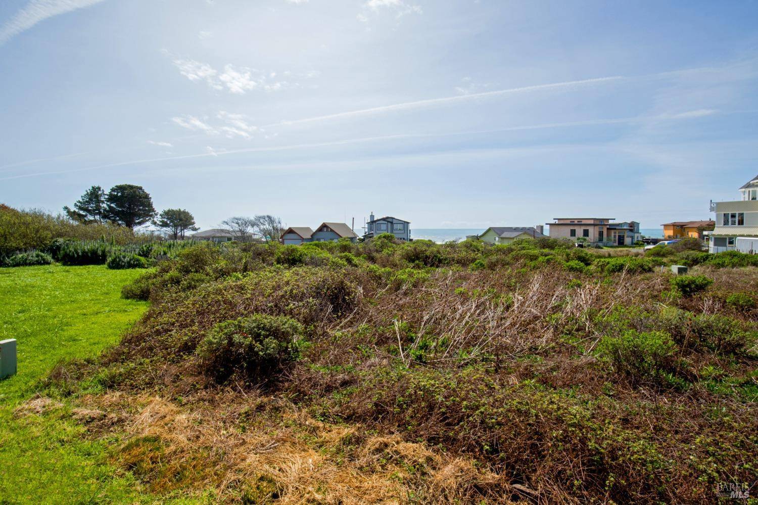 Whitethorn, CA 95589,86 Steelhead CT