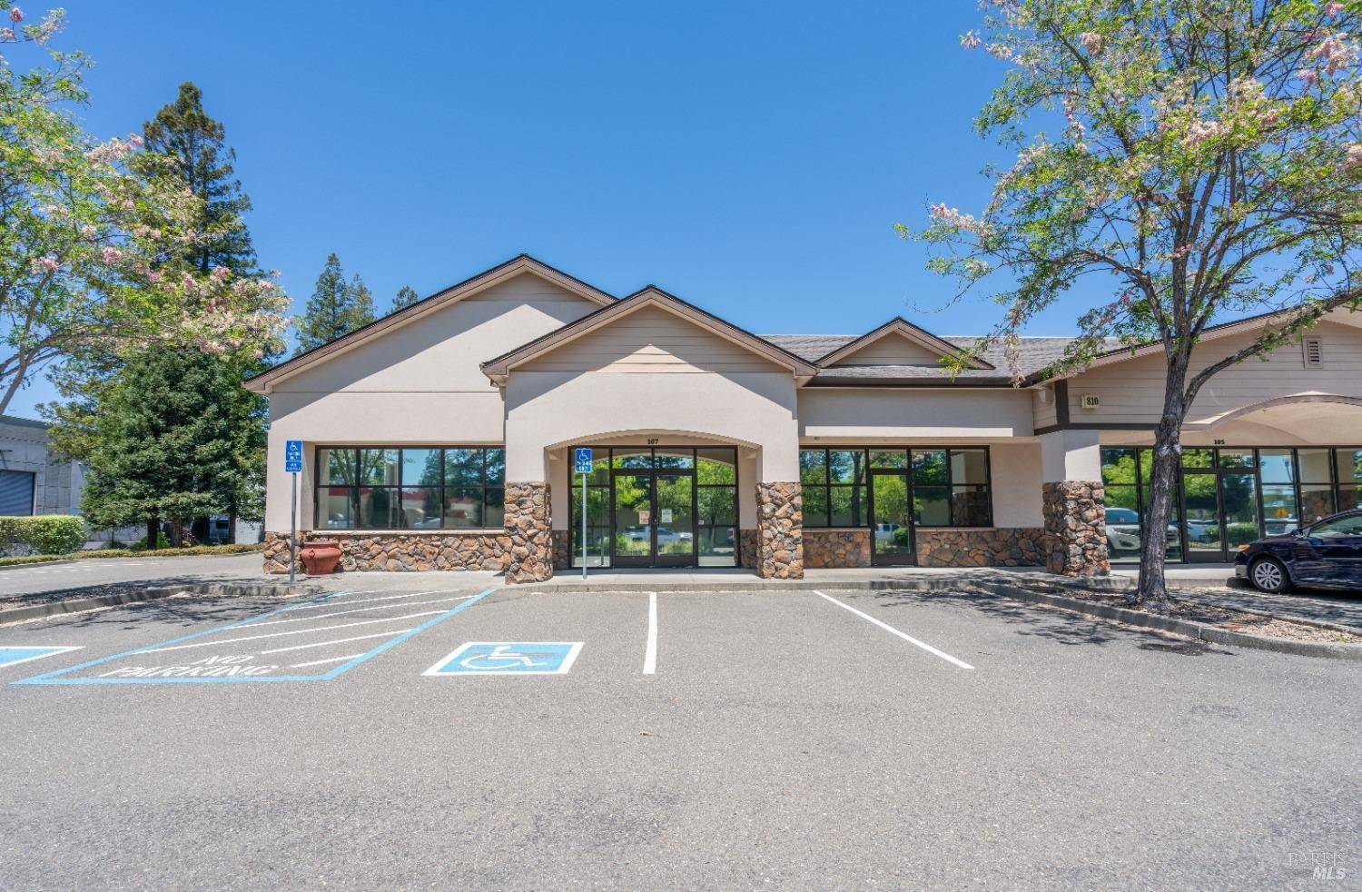 Windsor, CA 95492,810 DenBeste CT 107