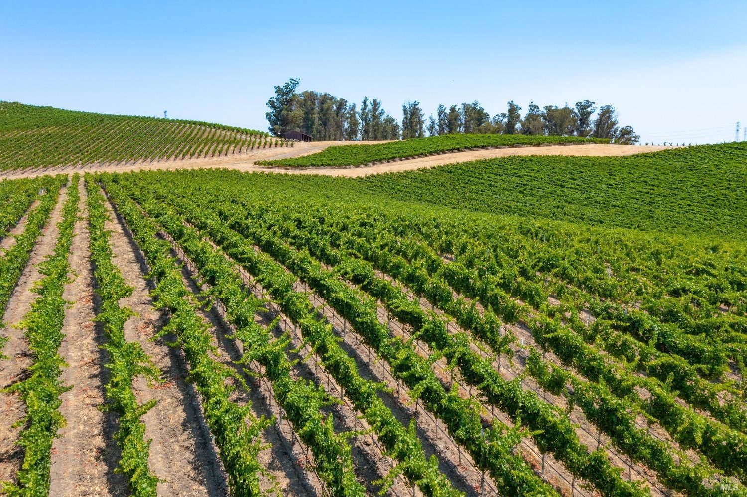 Petaluma, CA 94954,6509 Lakeville HWY