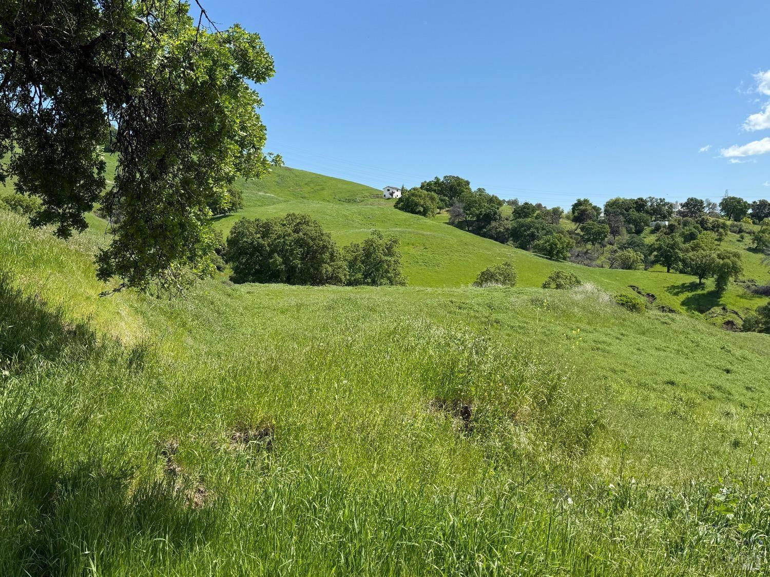 Vacaville, CA 95688,3757 Wild Oak TRL