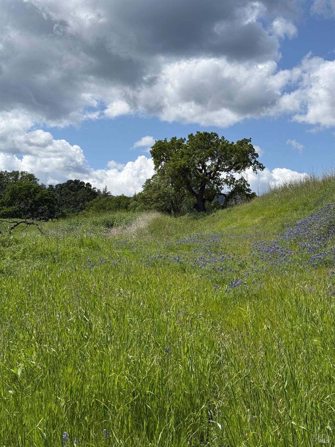Vacaville, CA 95688,3757 Wild Oak TRL