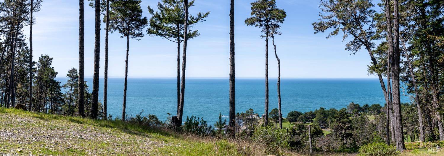 Timber Cove, CA 95450,21999 Smith CT