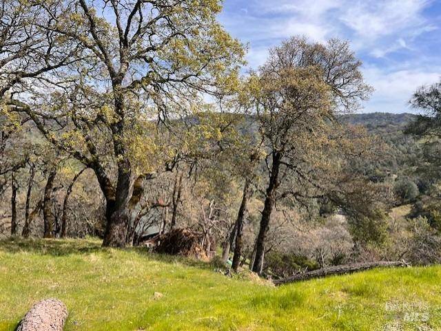 Napa, CA 94558,0 Circle Oaks DR