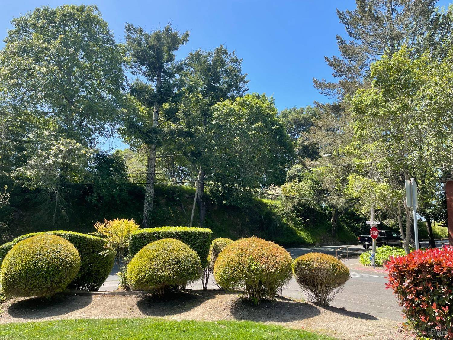 Sebastopol, CA 95472,105 Virginia AVE 1