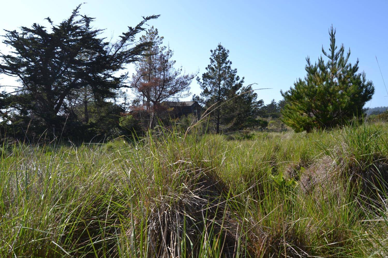 The Sea Ranch, CA 95497,135 Shepherds Close