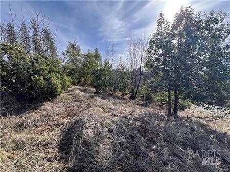 Cobb, CA 95426,16070 Pine ST