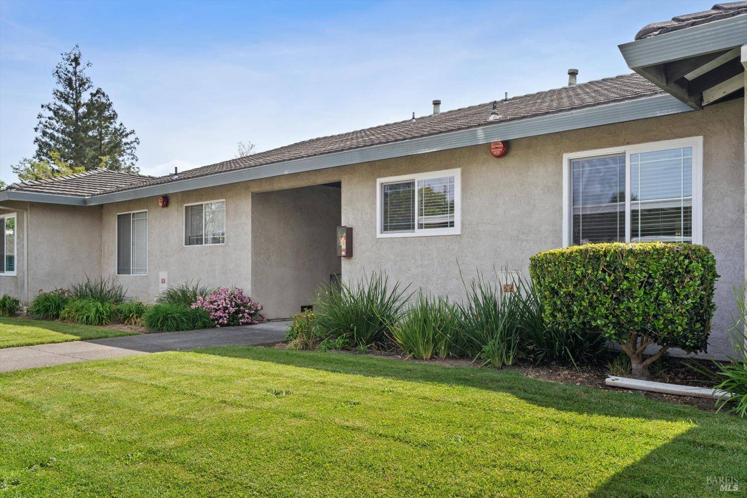 Napa, CA 94558,790 william CT