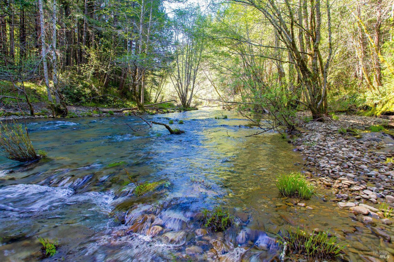Branscomb, CA 95417,40050 Wilderness Lodge RD