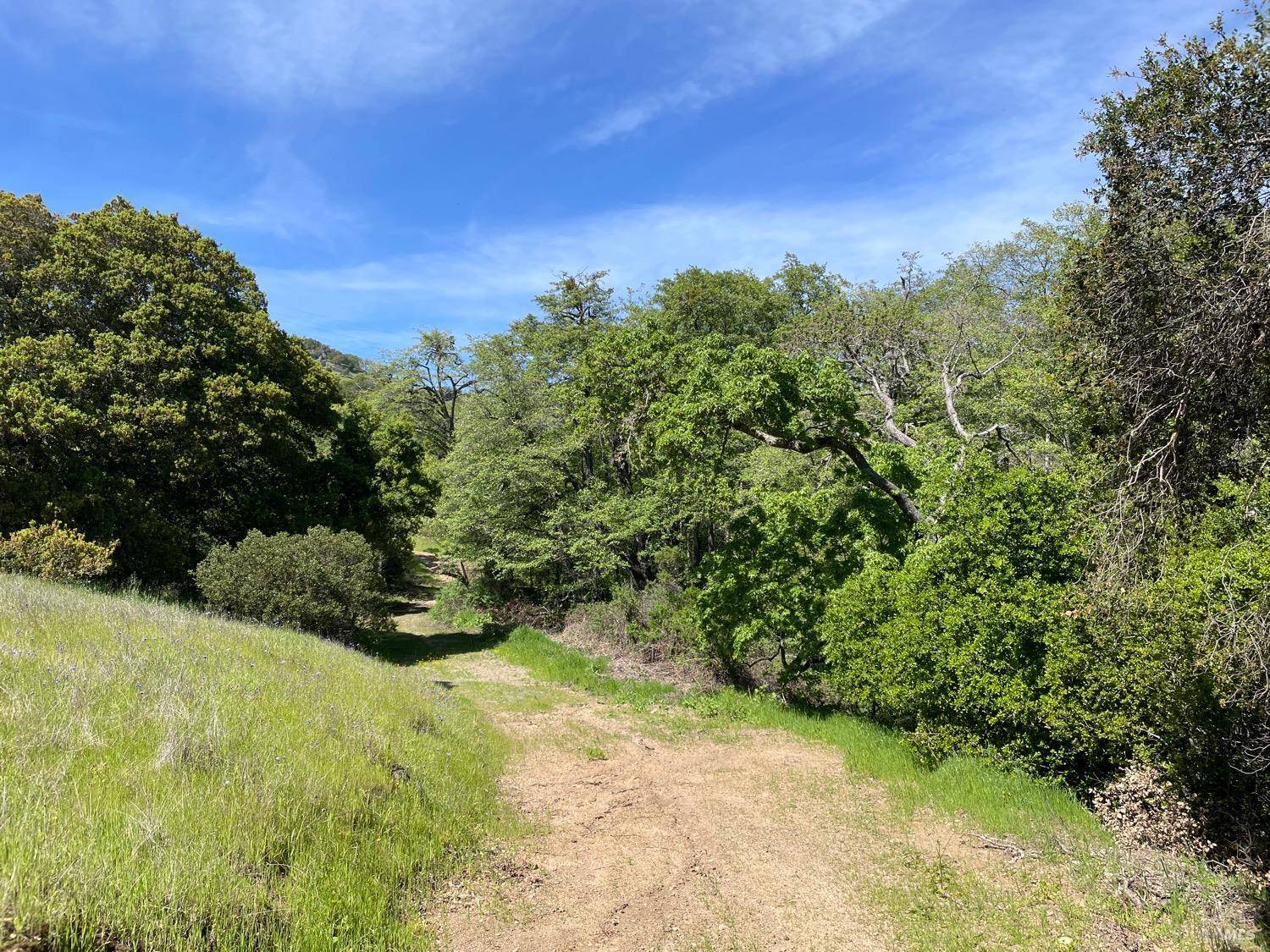 Green Valley, CA 94534,0 Green Valley LN Lot 6