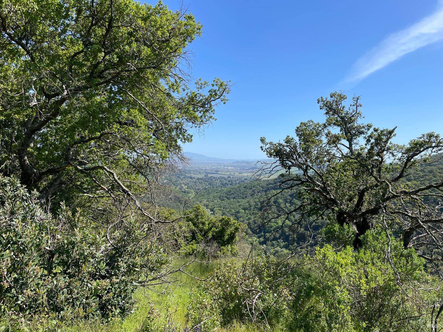 Green Valley, CA 94534,0 Green Valley LN Lot 3