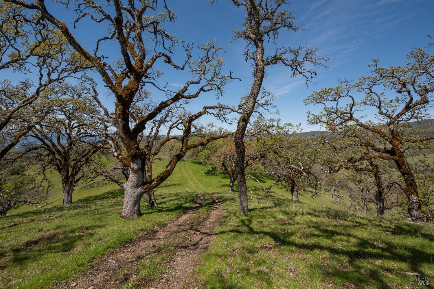 Geyserville, CA 95441,6998 Geysers RD