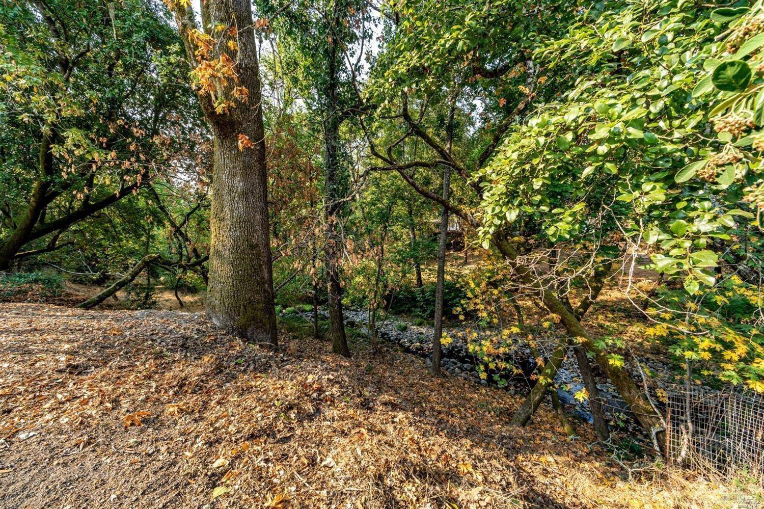 Glen Ellen, CA 95442,1513 Warm Springs RD