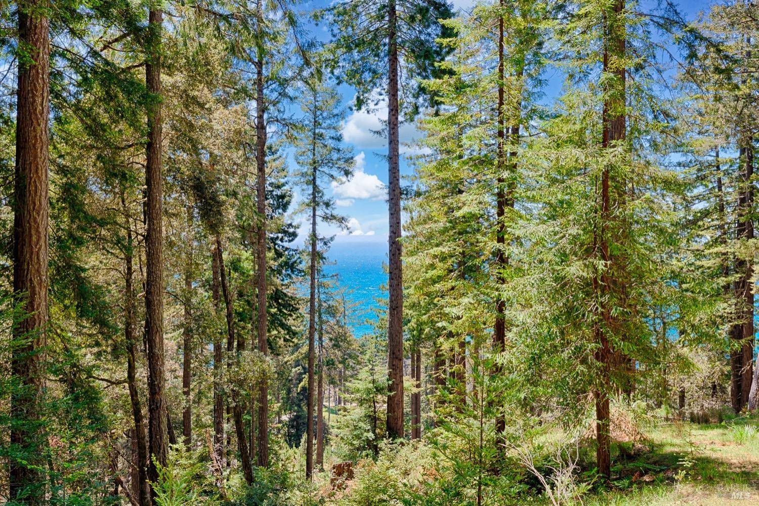 Jenner, CA 95450,22196 Umland CIR