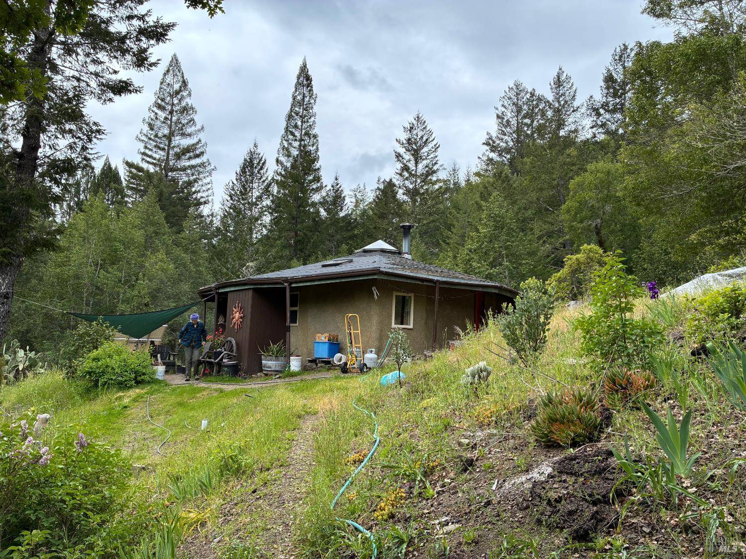 Cazadero, CA 95421,Address not disclosed