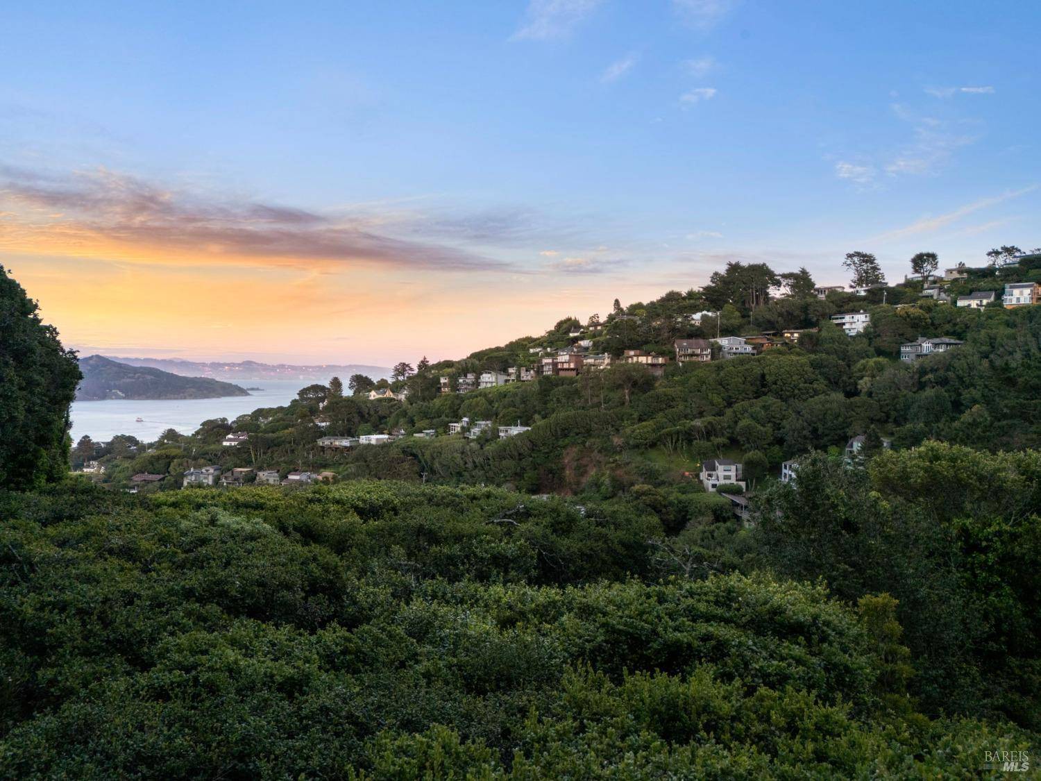 Sausalito, CA 94965,95 Monte Mar DR