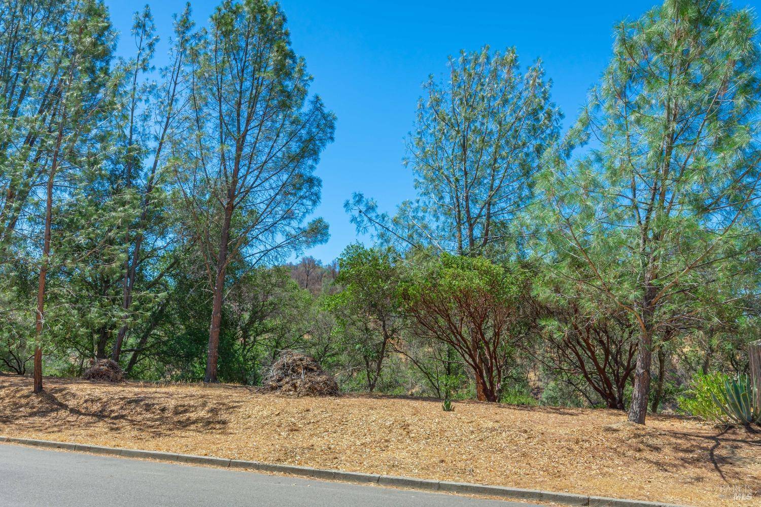 Napa, CA 94558,817 Bahia Vista CT