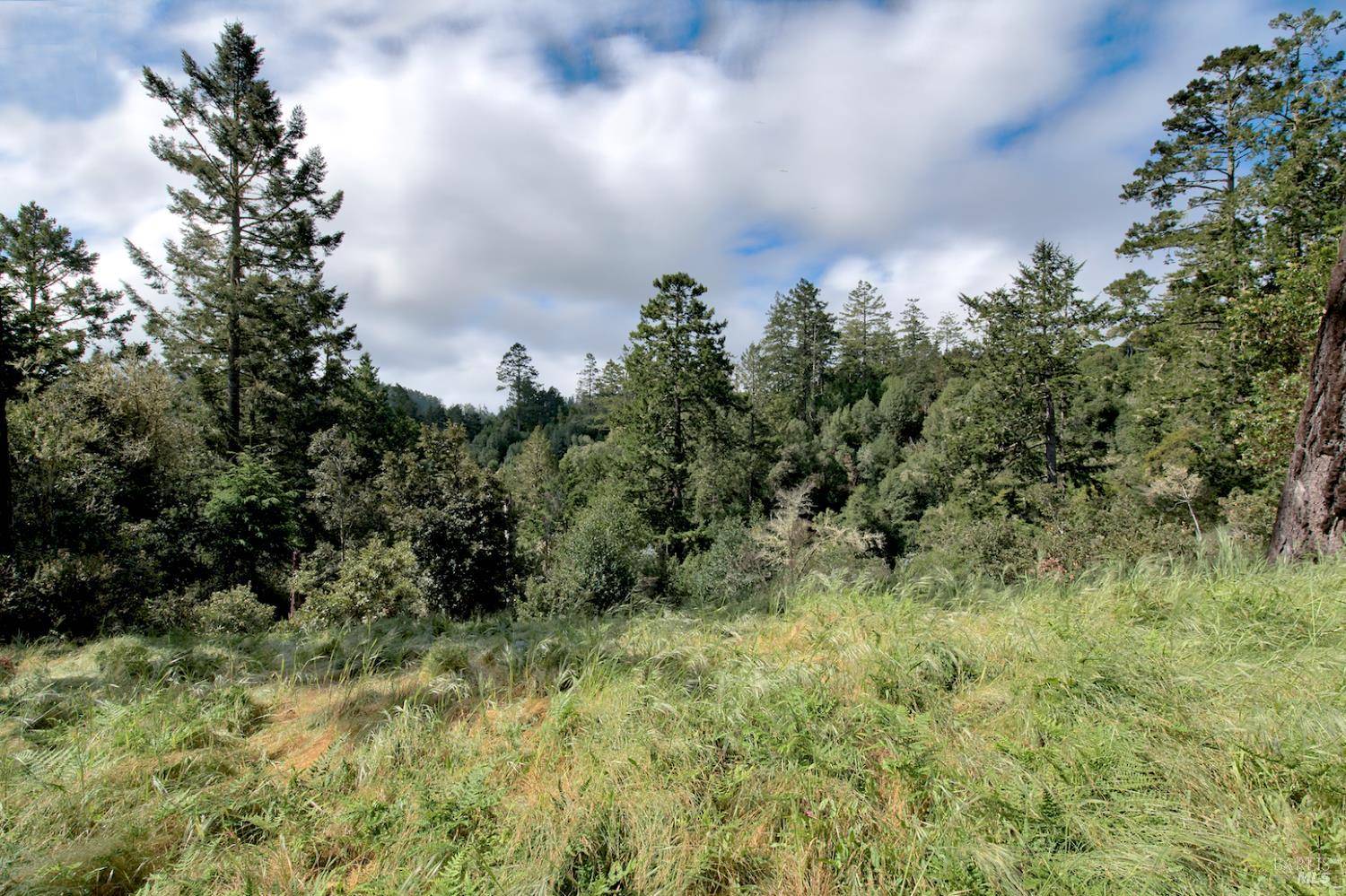 Inverness, CA 94937,0 Douglas DR