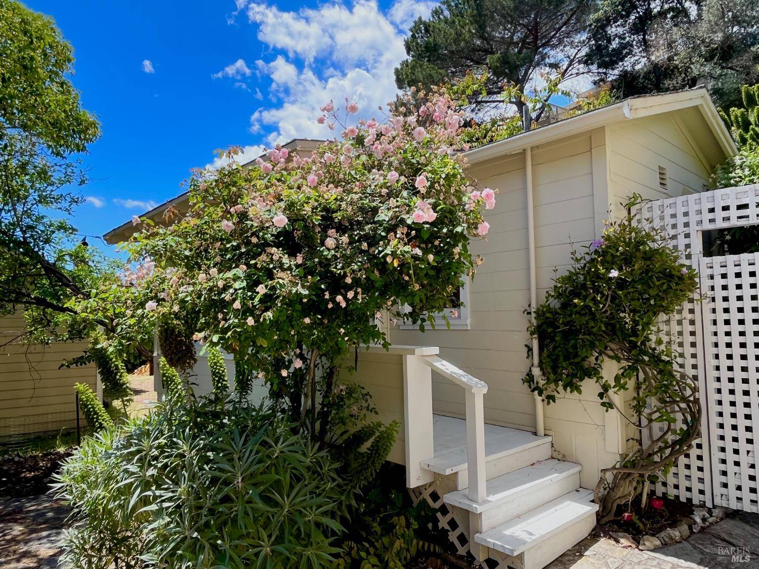 San Rafael, CA 94901,14 Belle AVE A