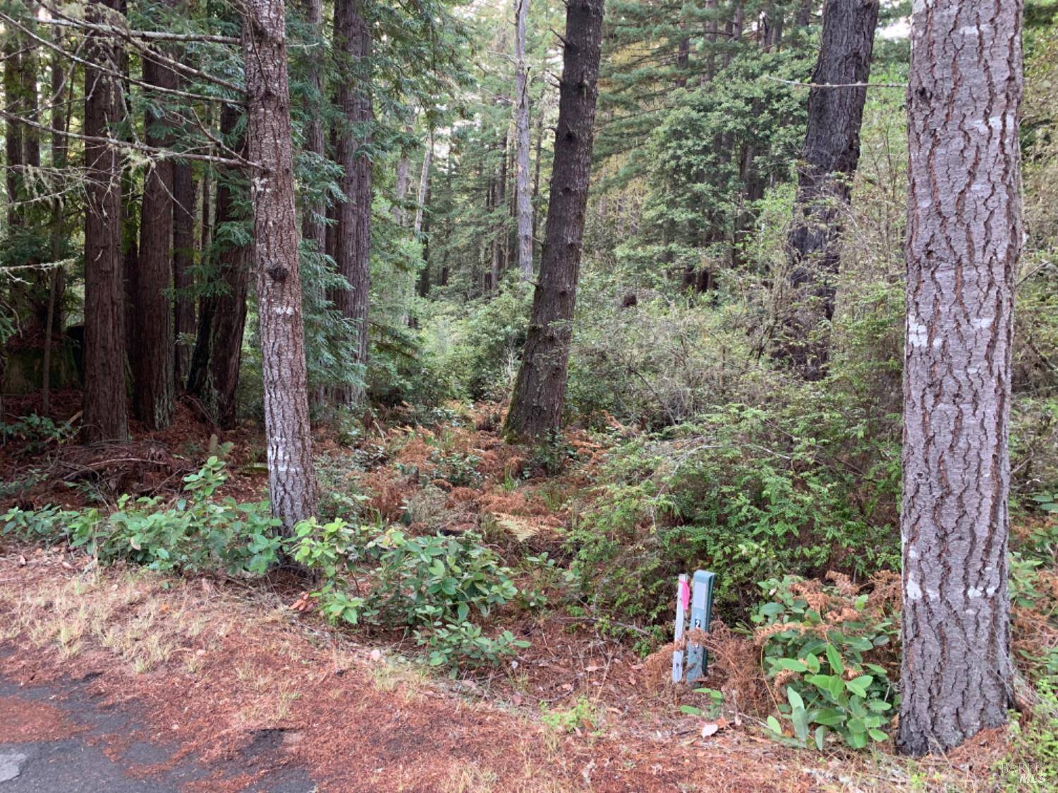 The Sea Ranch, CA 95497,369 Big Tree Close RD 27A13