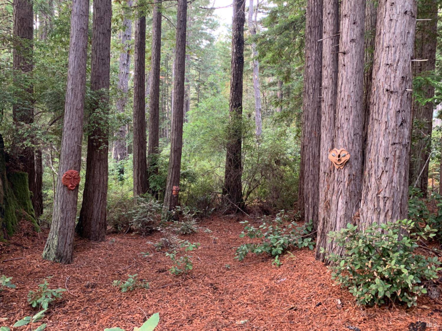 The Sea Ranch, CA 95497,369 Big Tree Close RD 27A13