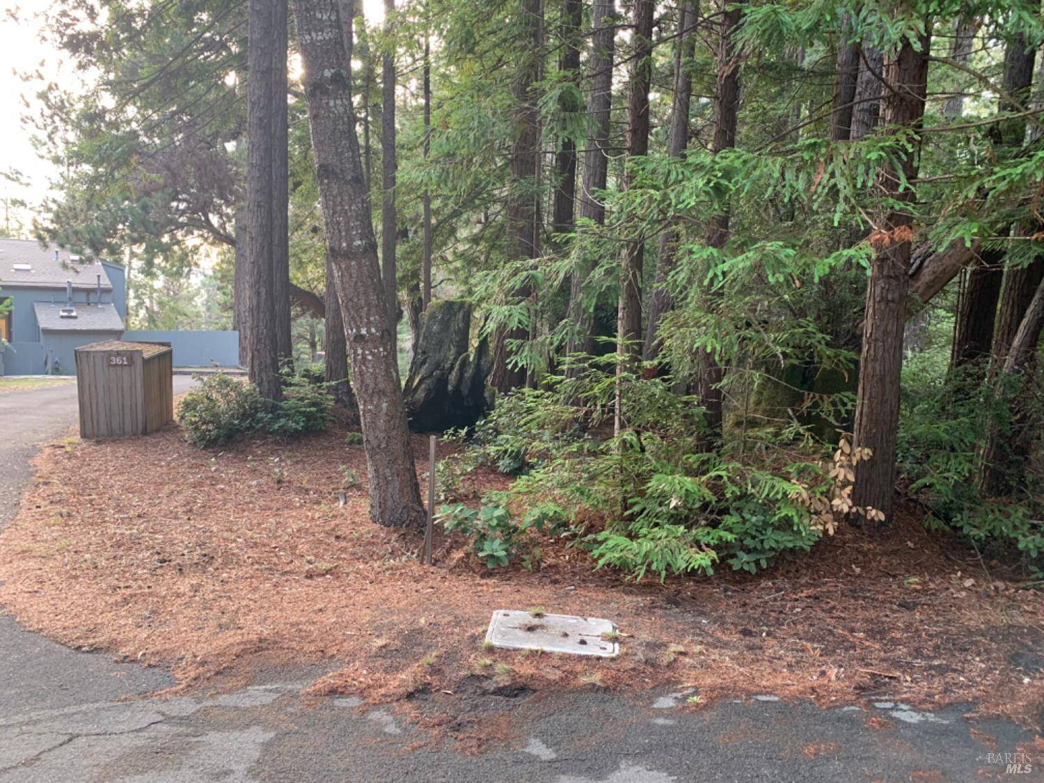 The Sea Ranch, CA 95497,369 Big Tree Close RD 27A13