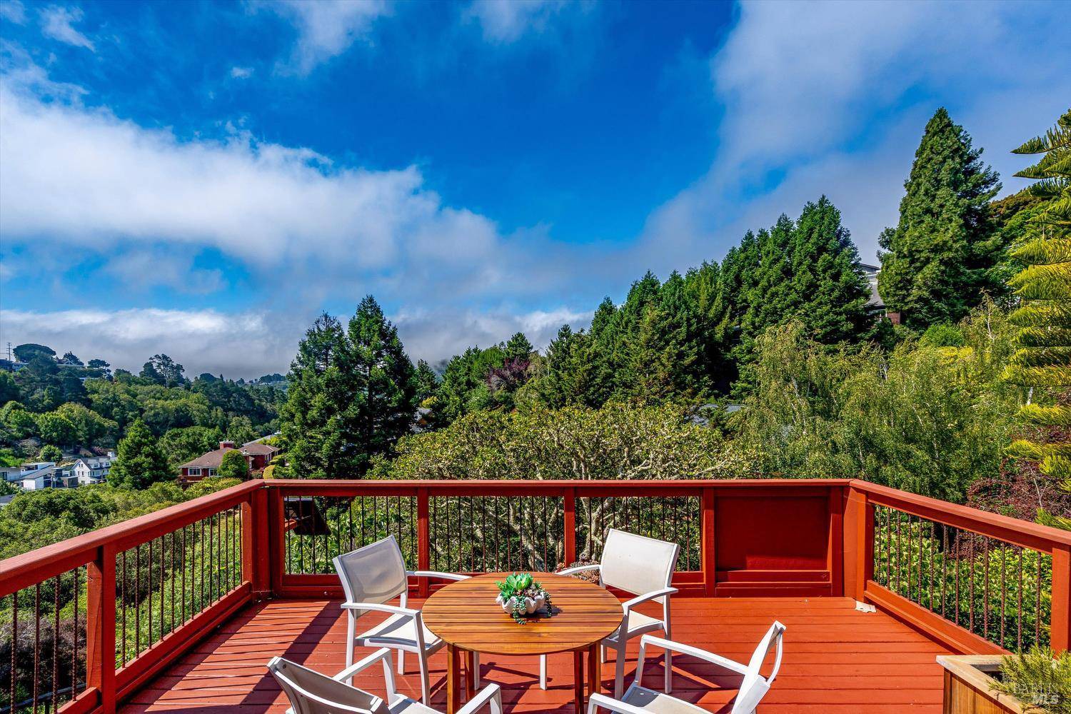 Mill Valley, CA 94941,919 W California AVE