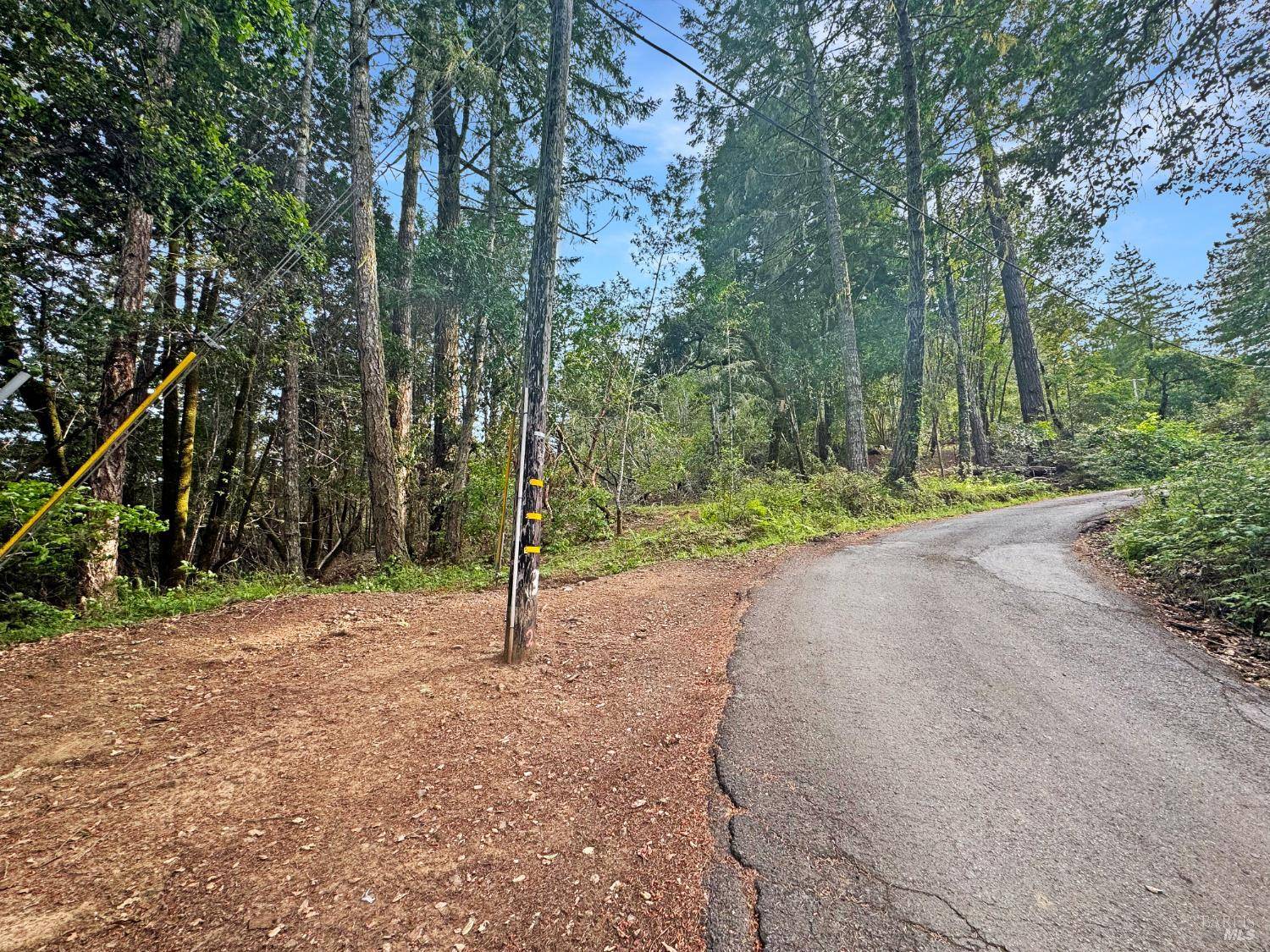 Guerneville, CA 95446,21155 Siri RD