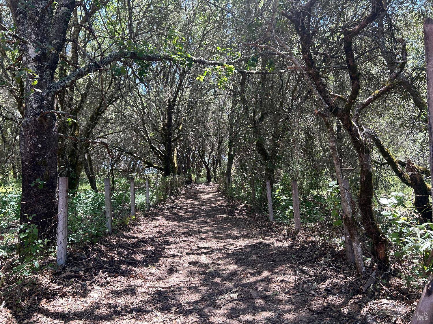 Forestville, CA 95436,7369 Covey RD