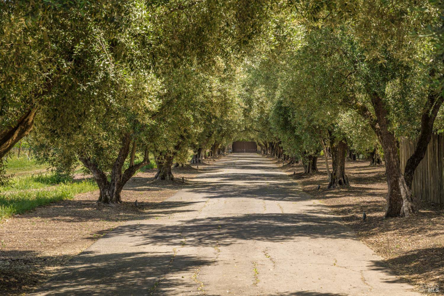 Rutherford, CA 94573,900 Rutherford RD
