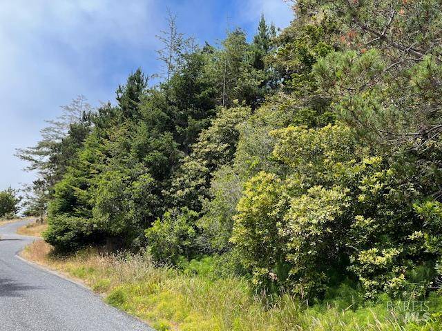 Timber Cove, CA 95450,22091 Lee DR